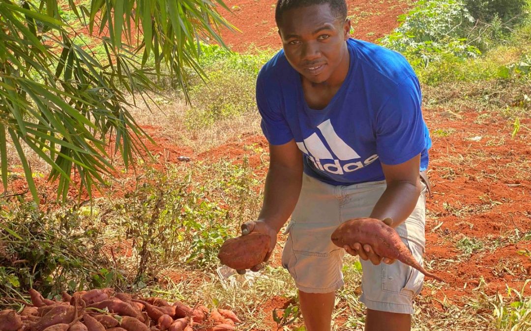 Young farmer racing to meet tourism sector demand