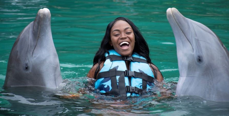 Dolphin Cove has something for everyone