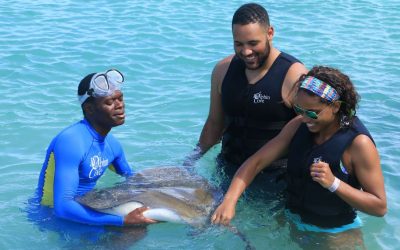 Dolphin Cove Montego Bay… stingrays and cute camels