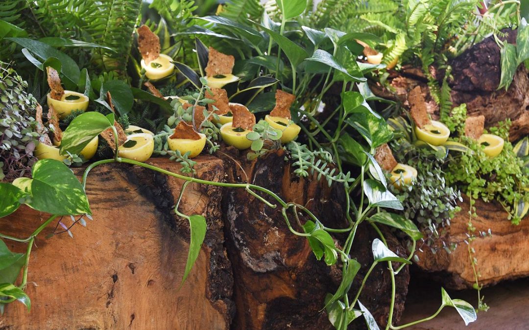 Stush in the Bush… and open for business