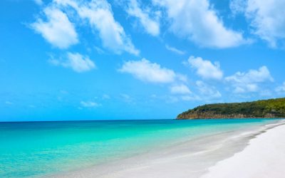 Locals welcome! Special rates coming for staycations…