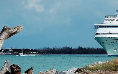 Cruise ships are coming back!