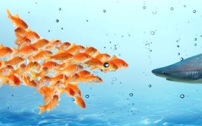 Time for teamwork, says CTO