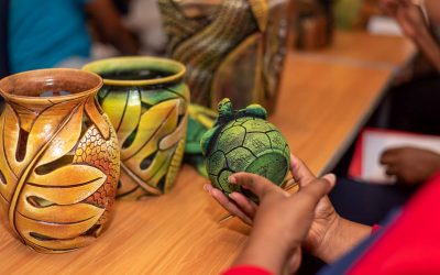 Tourism Awareness Week: TEF looks back at achievements