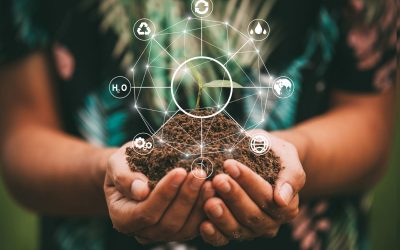 Royal Caribbean meets sustainability targets