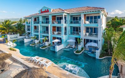 Adam Stewart invited to join WTTC executive