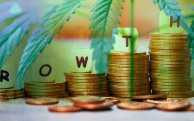 Time for deeper look at cannabis?