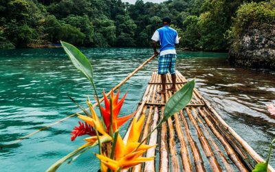 Tourism jobs coming back, says CHTA