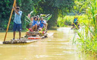 Chukka, Wray & Nephew alliance