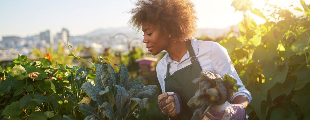 Sustainability: FUTURE OF TOURISM