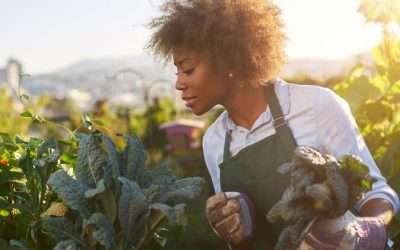 Sustainability: FUTURE OF TOURISM