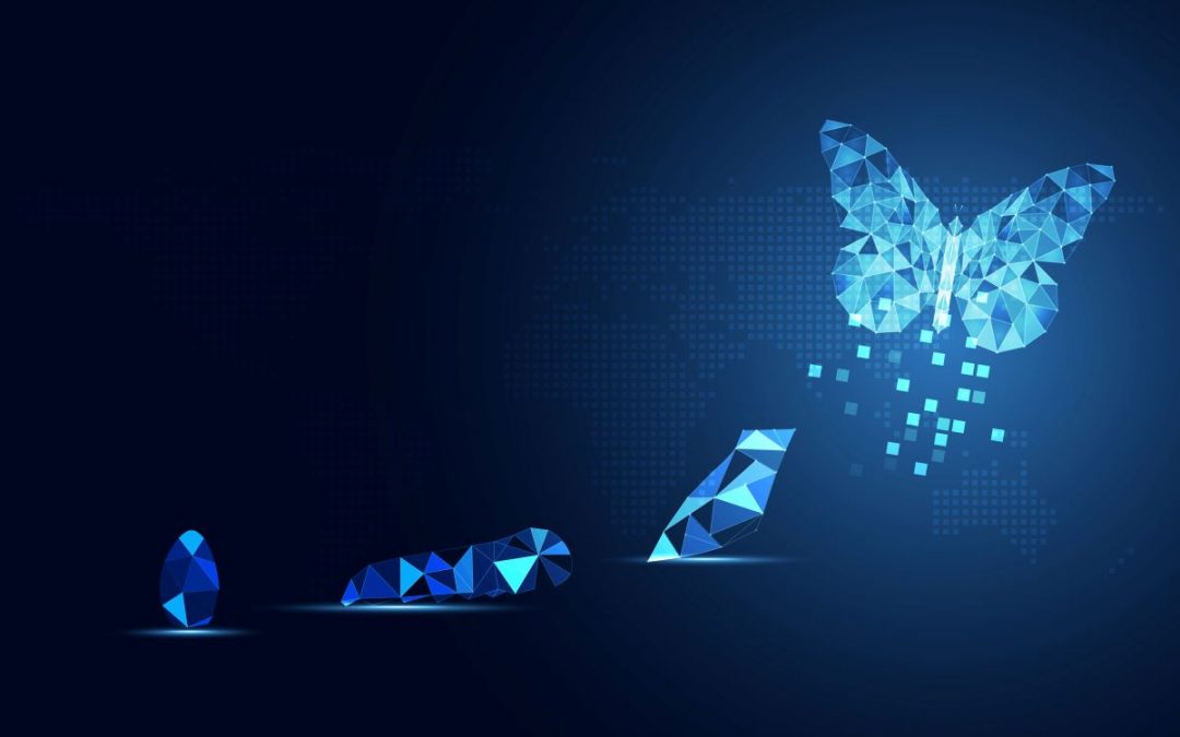CTO: Focus on renewal in 2022