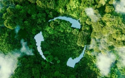 Jewel Grande Montego Bay Resort goes sustainable