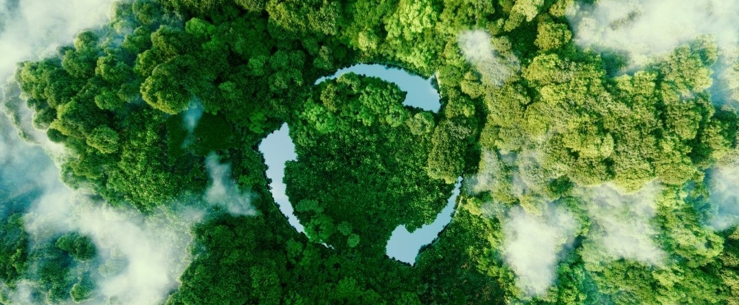 Jewel Grande Montego Bay Resort goes sustainable