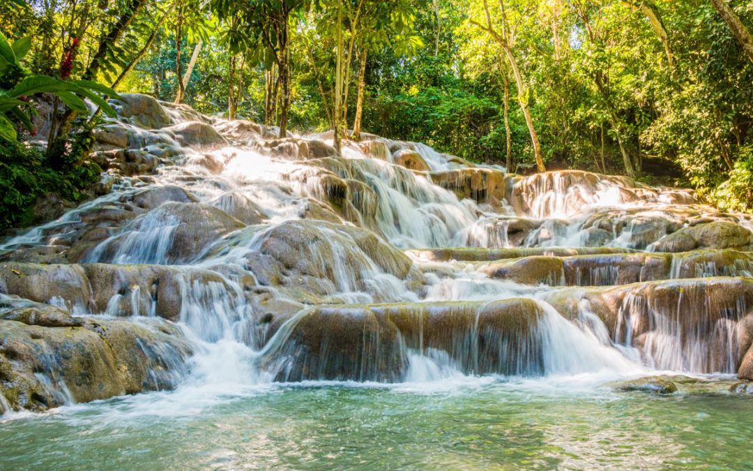 Dunn’s River adds nature walk