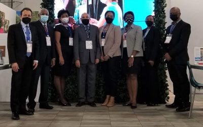 MICE: first hit, last to recover