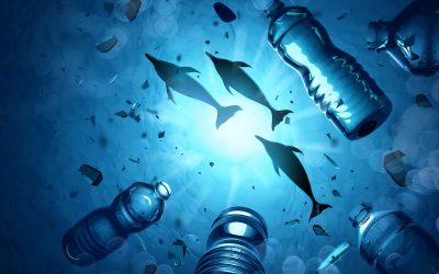 40 MILLION BOTTLES: Recycling goal