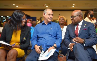 More for smaller players, promises Bartlett