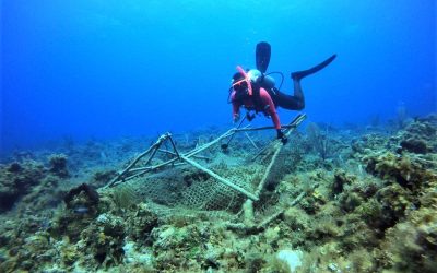 Marine sanctuaries bring HOPE