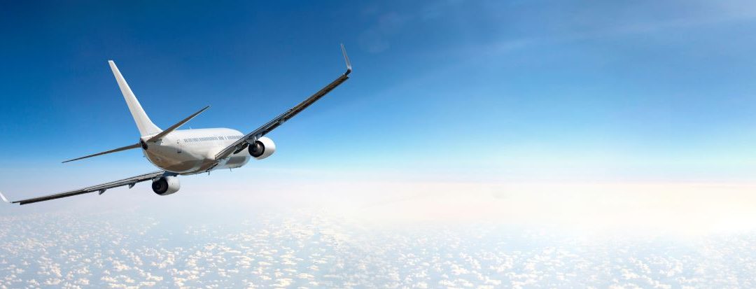 Barbados bats on aviation