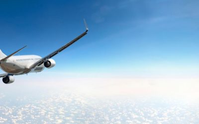 Barbados bats on aviation