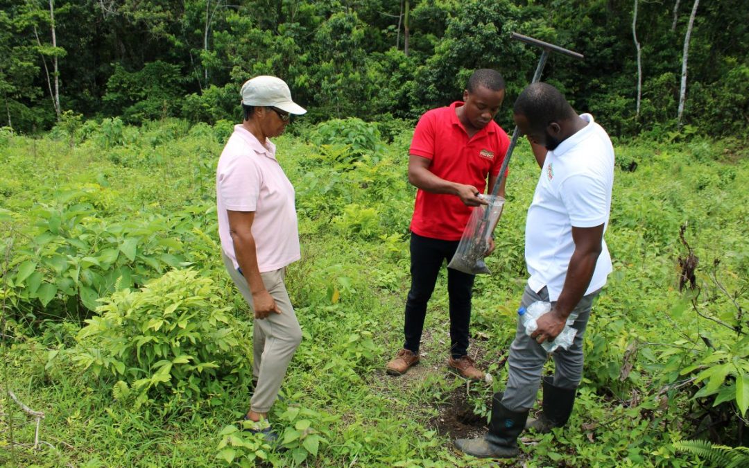 Sandals Foundation gives farmers a boost