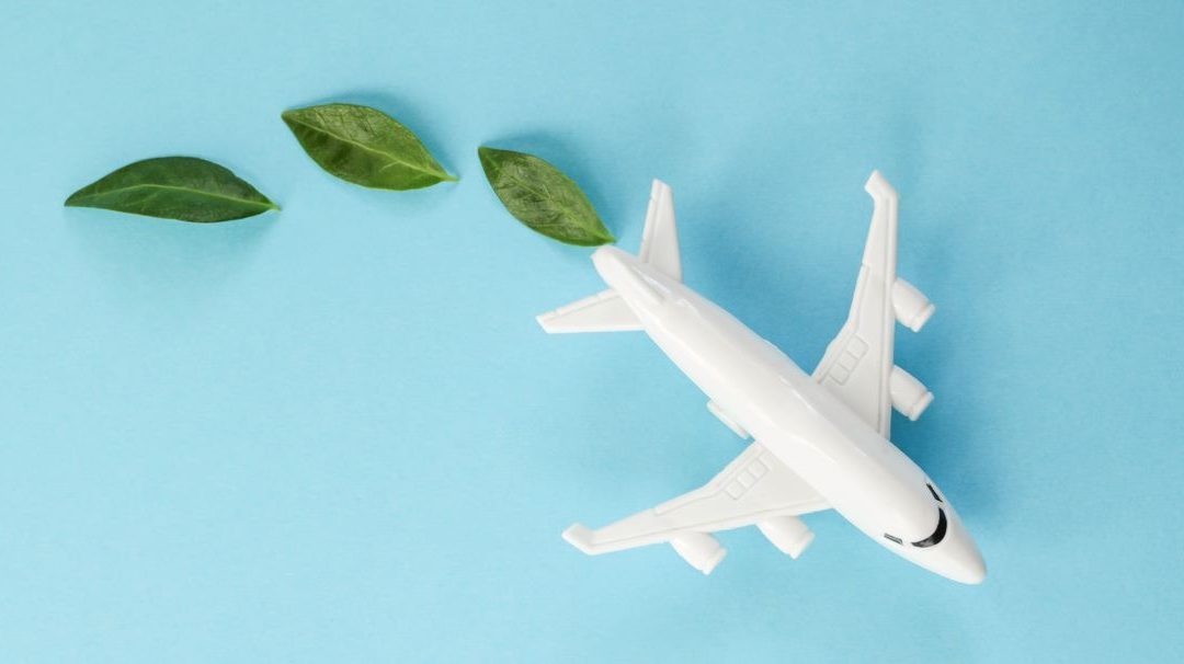 Sustainable travel talks at forum in France