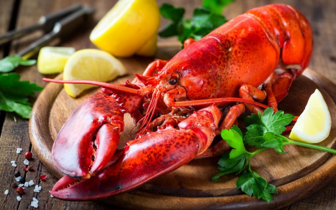 BVI hosts 10th lobster fest