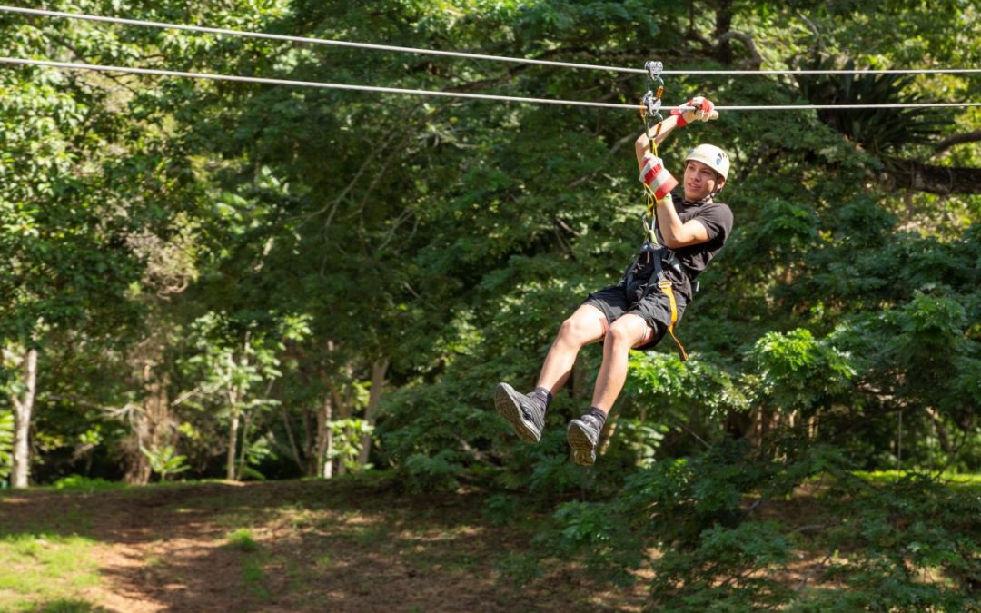 YAAMAN keeps it local for park expansion