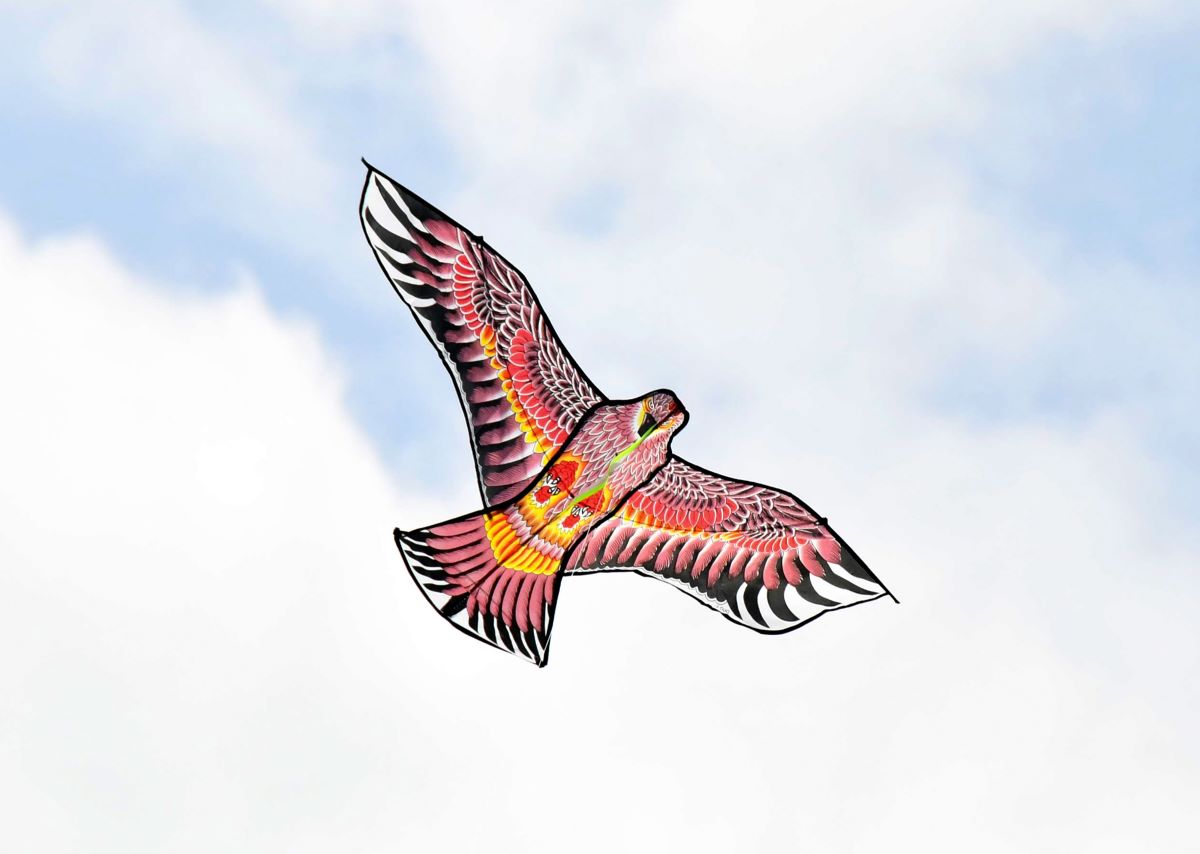 Mother of all kite festivals • Let's Travel Caribbean
